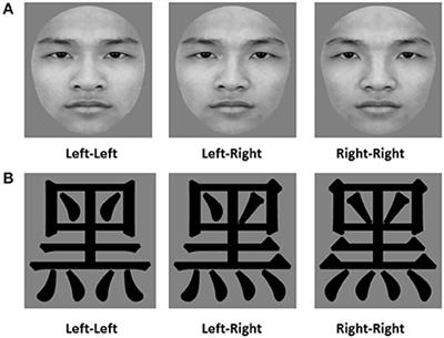 The Presentation Location of the Reference Stimuli Affects the Left-Side Bias in the Processing of Faces and Chinese Characters